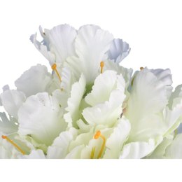 Bukiet 7 TULIPANÓW PAPUZICH 54 cm BIAŁY