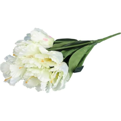 Bukiet 7 TULIPANÓW PAPUZICH 54 cm BIAŁY Bukiet 7 TULIPANÓW PAPUZICH 54 cm BIAŁY