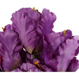 Bukiet 7 TULIPANÓW PAPUZICH 54 cm FIOLETOWY