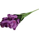 Bukiet 7 TULIPANÓW PAPUZICH 54 cm FIOLETOWY