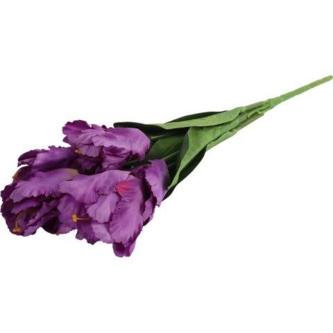 Bukiet 7 TULIPANÓW PAPUZICH 54 cm FIOLETOWY Bukiet 7 TULIPANÓW PAPUZICH 54 cm FIOLETOWY
