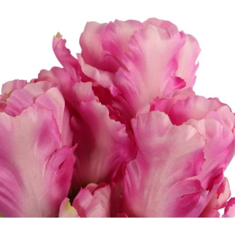 Bukiet 7 TULIPANÓW PAPUZICH 54 cm RÓŻOWY Bukiet 7 TULIPANÓW PAPUZICH 54 cm RÓŻOWY