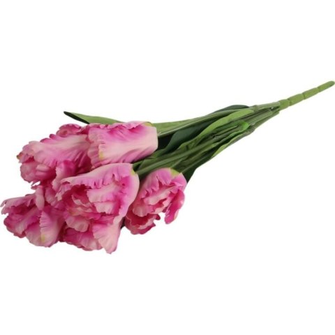Bukiet 7 TULIPANÓW PAPUZICH 54 cm RÓŻOWY Bukiet 7 TULIPANÓW PAPUZICH 54 cm RÓŻOWY