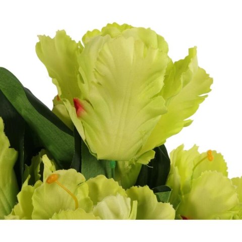 Bukiet 7 TULIPANÓW PAPUZICH 54 cm ZIELONY Bukiet 7 TULIPANÓW PAPUZICH 54 cm ZIELONY