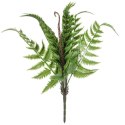 Bukiet 9 PAPROCI Z ODROSTAMI 42 cm