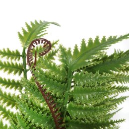 Bukiet 9 PAPROCI Z ODROSTAMI 42 cm