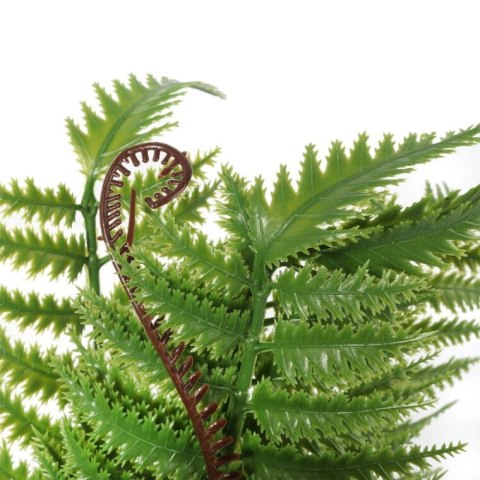 Bukiet 9 PAPROCI Z ODROSTAMI 42 cm