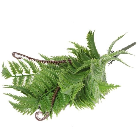 Bukiet 9 PAPROCI Z ODROSTAMI 42 cm