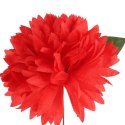 Chryzantema pojedyncza w kolorze czerwonym 65 cm