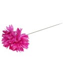 Chryzantema pojedynka w kolorze fioletowym 65 cm