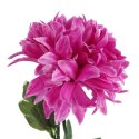 Chryzantema pojedynka w kolorze fioletowym 67 cm