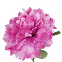 Chryzantema pojedynka w kolorze jasno fioletowym 67 cm