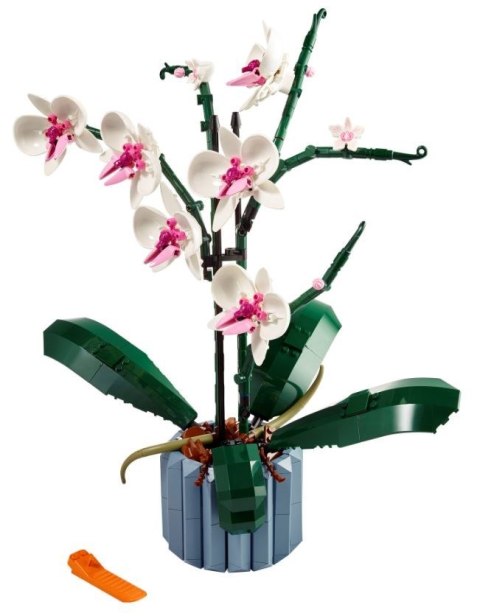 X LEGO Icons 10311 Orchidea X LEGO Icons 10311 Orchidea