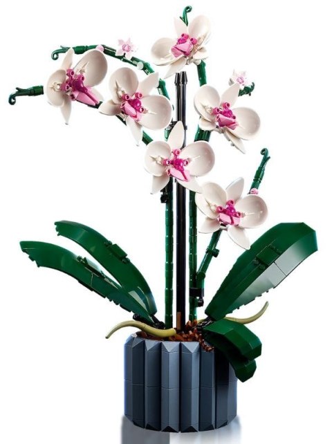 X LEGO Icons 10311 Orchidea X LEGO Icons 10311 Orchidea