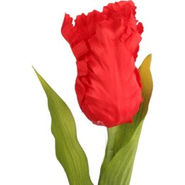 TULIPAN STRZĘPIASTY 54 CM CZERWONY