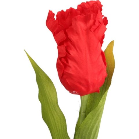 TULIPAN STRZĘPIASTY 54 CM CZERWONY TULIPAN STRZĘPIASTY 54 CM CZERWONY