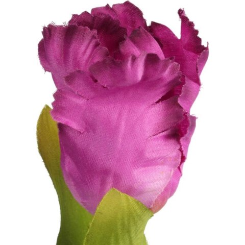 TULIPAN STRZĘPIASTY 54 CM FIOLETOWY TULIPAN STRZĘPIASTY 54 CM FIOLETOWY