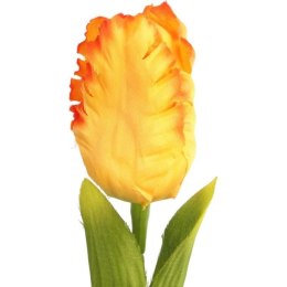 TULIPAN STRZĘPIASTY 54 CM POMARAŃCZOWY