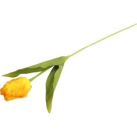 TULIPAN STRZĘPIASTY 54 CM ŻÓŁTY TULIPAN STRZĘPIASTY 54 CM ŻÓŁTY