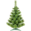 CHOINKA ŻYŁKA KLARA NIEROZCZEPIONA 70CM