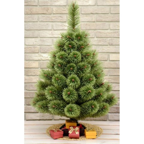 CHOINKA ŻYŁKA KLARA ROZCZEPIONA 70CM