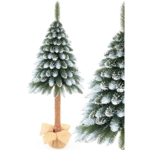 CHOINKA NA PNIU 100CM JODŁA DIAMENTOWA