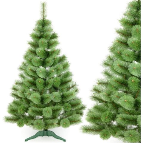 CHOINKA ŻYŁKA KLARA NIEROZCZEPIONA 200CM