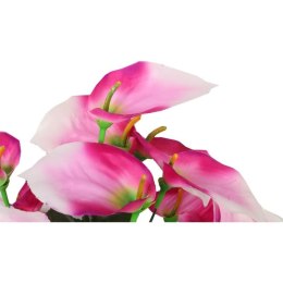 Bukiet 12 anturium w kolorze różowym