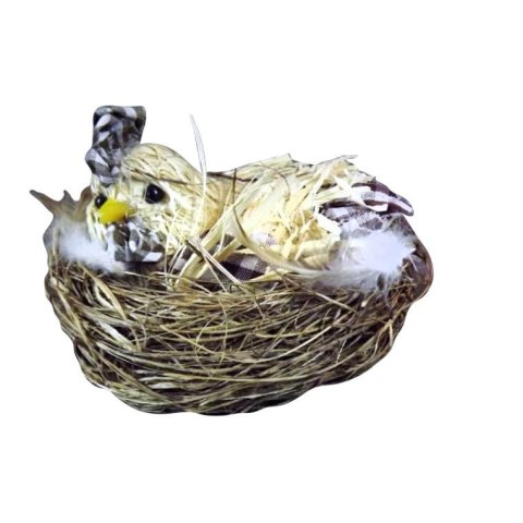 Kura z Rafii w Brązowym Gnieździe z Piórkami