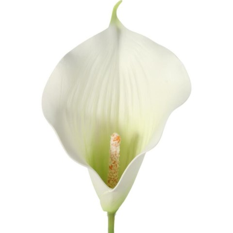 Bukiet 7 CALLI GUMOWANYCH 62 cm KOLOR BAŁY