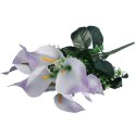Bukiet 7 CALLI z bukszpanem 37 cm BIAŁO FIOLETOWY