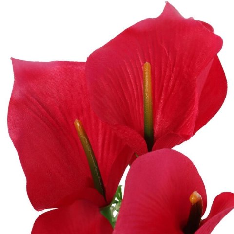 Bukiet 7 CALLI z bukszpanem 37 cm CZERWONY