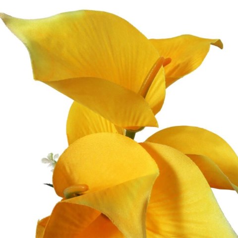 Bukiet 7 CALLI z bukszpanem 37 cm ŻÓŁTY