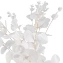 Bukiet liści EUCALYPTUSA w kolorze BIAŁYM 50 cm