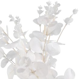 Bukiet liści EUCALYPTUSA w kolorze BIAŁYM 50 cm