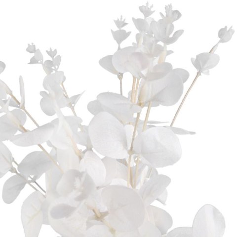 Bukiet liści EUCALYPTUSA w kolorze BIAŁYM 50 cm