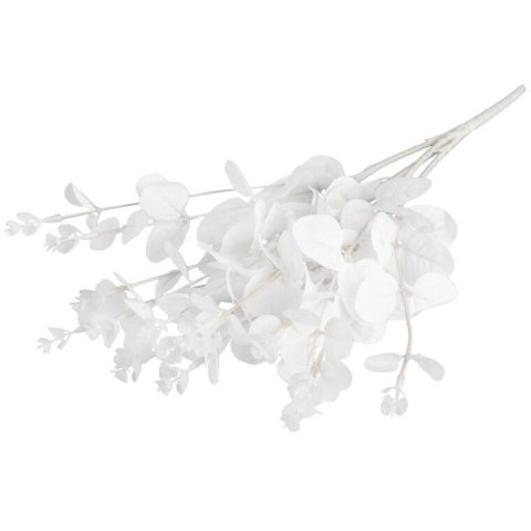 Bukiet liści EUCALYPTUSA w kolorze BIAŁYM 50 cm