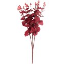 Bukiet liści EUCALYPTUSA w kolorze BORDOWYM 50 cm