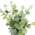 Bukiet liści EUCALYPTUSA w kolorze CIEMNO ZIELONYM 50 cm