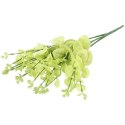 Bukiet liści EUCALYPTUSA w kolorze JASNO ZIELONYM 50 cm