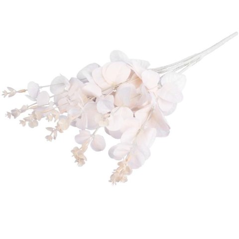 Bukiet liści EUCALYPTUSA w kolorze KREMOWYM 50 cm