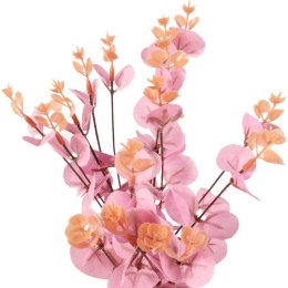 Bukiet liści EUCALYPTUSA w kolorze RÓŻOWYM 50 cm