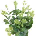 Bukiet liści EUCALYPTUSA w kolorze ZIELONYM 50 cm