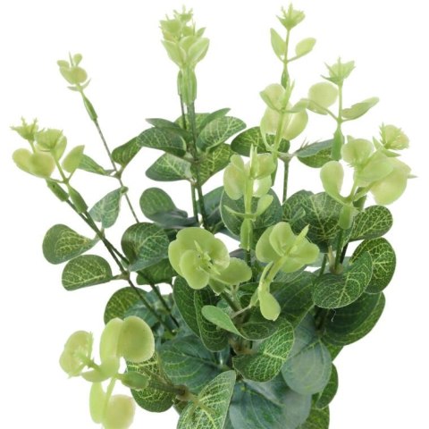 Bukiet liści EUCALYPTUSA w kolorze ZIELONYM 50 cm