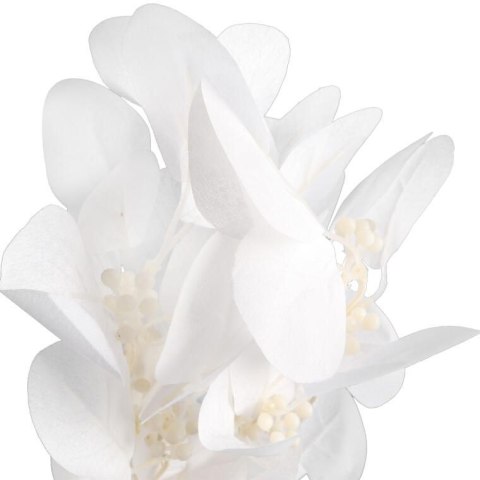 Bukiet liści jabłoni w kolorze BIAŁYM 52 cm