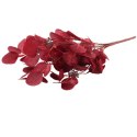 Bukiet liści jabłoni w kolorze BORDOWYM 52 cm