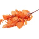 Bukiet liści jabłoni w kolorze POMARAŃCZOWYM 52 cm