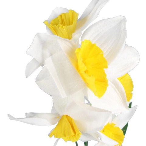 GAŁĄZKA Z 9 KWIATAMI NARCYZA 70 CM BIAŁA