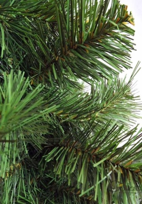 Świeża Polska Choinka Sztuczna Zielony Świerk - Prosto od Producenta GOLIAT, Wysokość 60cm