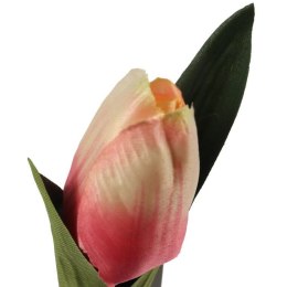 TULIPAN 45 CM kremowo różowy
